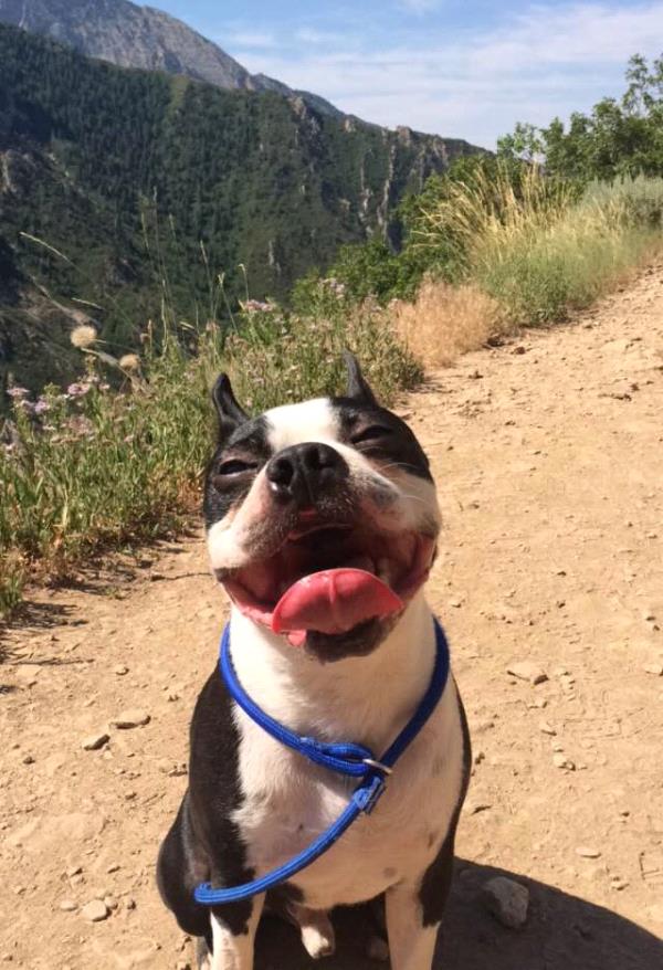 /Images/uploads/Humane Society of Utah/HSUCalendar/entries/1098thumb.jpg